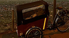 Lastenrad