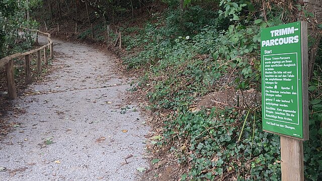 Ein Waldweg