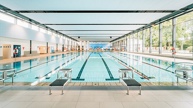 Das große Becken im Familienbad Niederheid