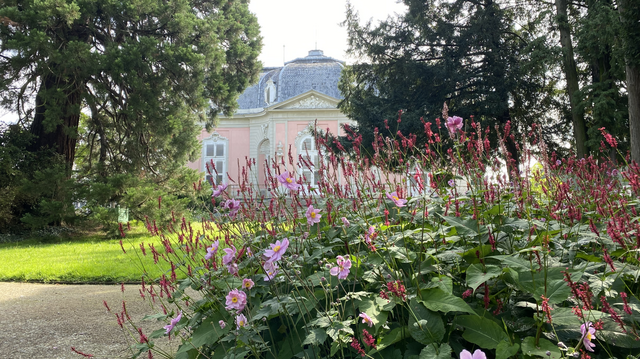 Blumen und das Schloss im Hintergrund