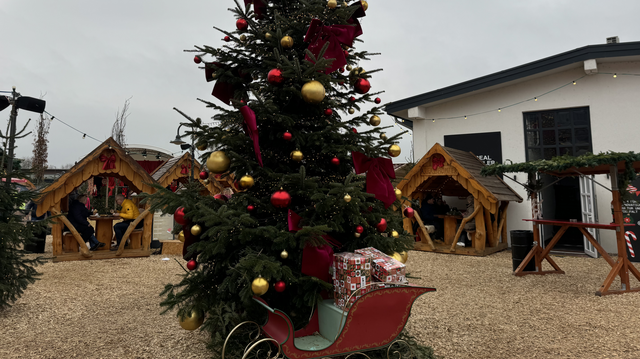 Ein Weihnachtsbaum 