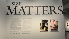 Anfang der Ausstellung