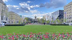 Der Corneliusplatz mit Tulpen davor