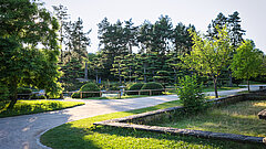 Bäume im Japanischen Garten