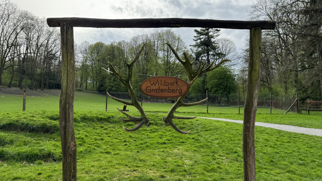 Ein Schild mit einem Rehgeweih