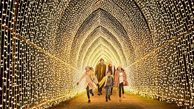 Menschen gehen einen Pfad voller Lichter entlang