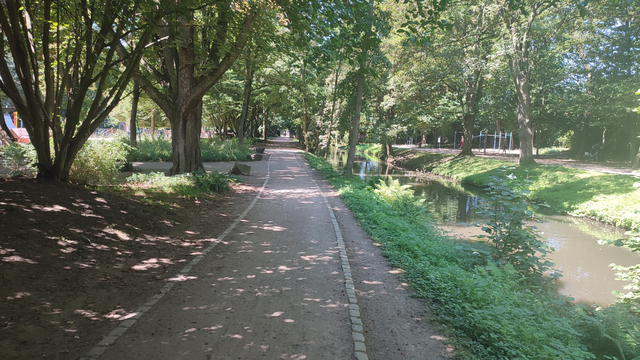 Eine der Alleen im Volksgarten