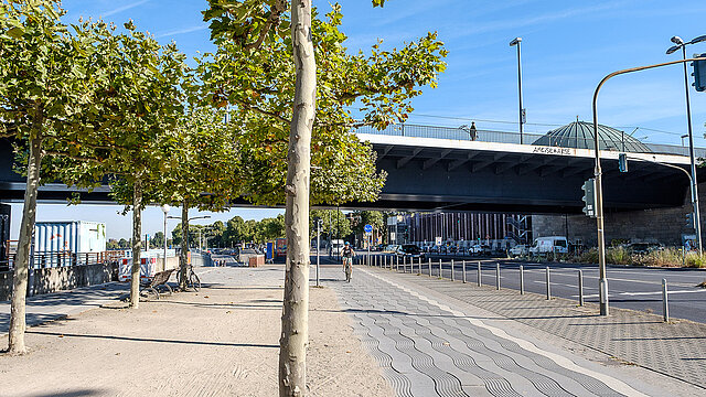 Radweg am Rhein