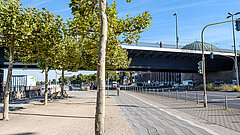 Radweg am Rhein