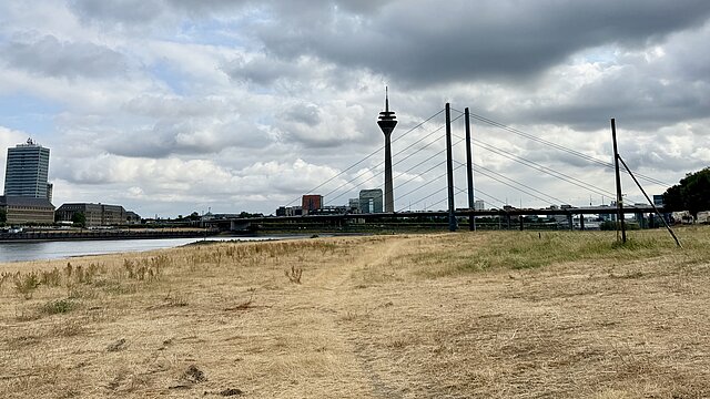 Blick auf Rhein, Brücke und Rheinturm