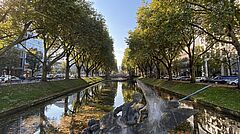 Blick auf den Stadtgraben von einer Brücke aus.